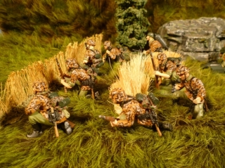 Waffen SS in Lauerstellung