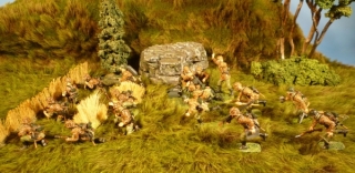 Waffen SS im Einsatz 