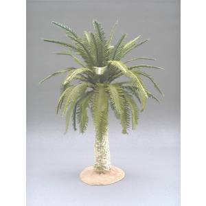 Kleine Palme