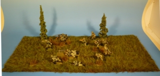 Grasmatte (Aufbaubeispiel)