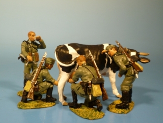 "Operation Milch" Wehrmachts Soldaten beim melken