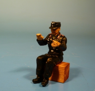 Panzersoldat Fahrer
