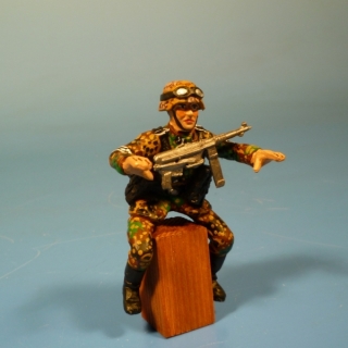 Fahrer Waffen SS
