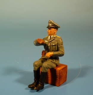 Luftwaffen Offizier sitzend f�r Fahrzeuge