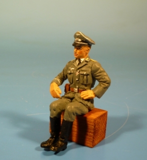 Luftwaffen Offizier sitzend f�r Fahrzeuge
