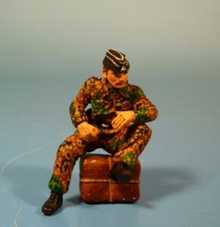 Waffen-SS Panzersoldat von Michael Wittmann