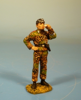 Waffen-SS Panzermann