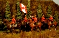Royal Canadian Mounted Police