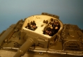Panzer VI Tiger / Deutsche Generäle