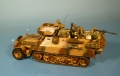 Wehrmacht Schützenpanzer Sd. Kfz. 251/18