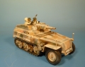 Sd. Kfz. 250/8 Leibstandarte Winter