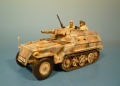 Sd. Kfz. 250/8 Leibstandarte Winter